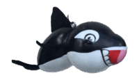 Baby Orca